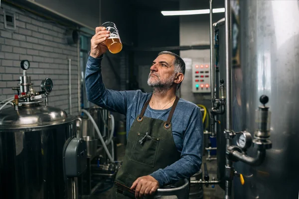 Brouwer Onderzoekt Smaak Kleur Van Het Bier Zijn Ambachtelijke Bierbrouwerij — Stockfoto