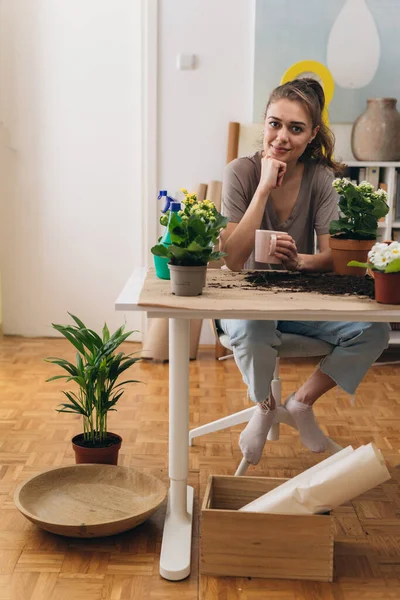 Frau Gärtnert Hause Zimmerpflanzen — Stockfoto