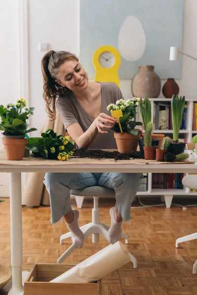 Frau Gärtnert Hause Zimmerpflanzen — Stockfoto