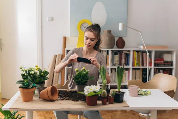 Frau Gärtnert Zimmerpflanzen Hause Fotografieren Mit Handy — Stockfoto