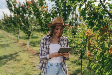 Kadın tarım uzmanı meyve bahçesindeki ağaçları inceliyor.