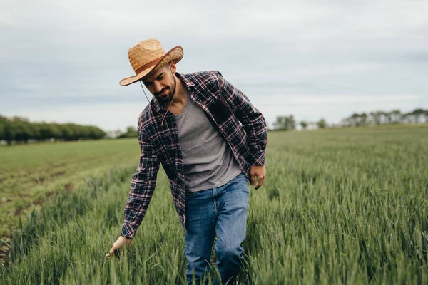 Fazendeiro Caminhando Pelo Campo Trigo — Fotografia de Stock