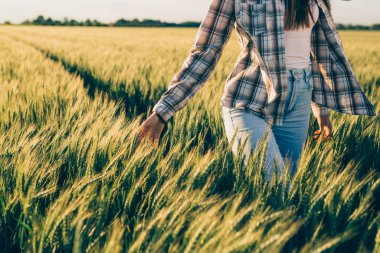 Buğday tarlasında yürüyen kadın