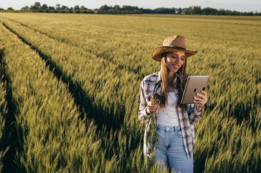 Buğdayın üzerinde duran kadın çiftçi buğdayı dosyalayıp inceliyor.