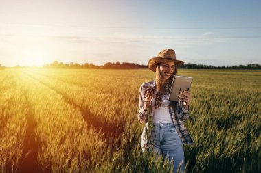 Kadın tarlada buğday bitkisini inceliyor.