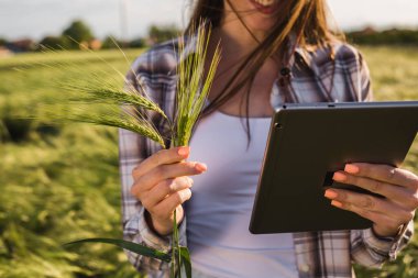 Arpa ve dijital tableti tarlada tutan kadına yakın durun.