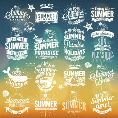 Retro elements for Summer calligraphic designs . Vintage ornaments . tropical paradise, sea, sunshine, weekend tour, beach vacation, bon voyage, adventure labels set