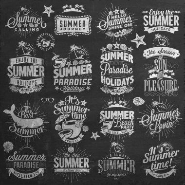 Retro elements for Summer calligraphic designs . Vintage ornaments . tropical paradise, sea, sunshine, weekend tour, beach vacation, bon voyage, adventure labels set