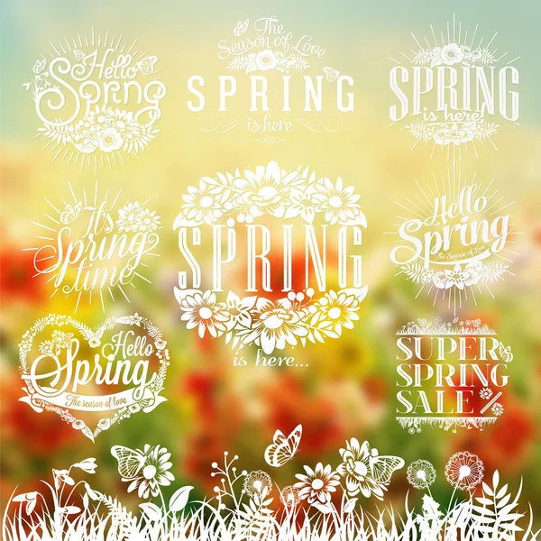Wunderschönes typografisches Frühlingsset mit Naturelementen, Gras, Blumen und Schmetterling — Stockfoto