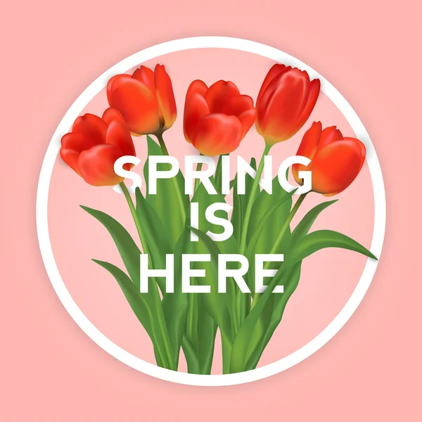 チューリップの美しい春の背景 — ストック写真