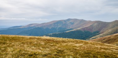 Piliptse dağ görünümünde. 
