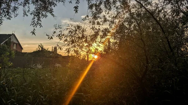 Літні Пейзажі Сонячний День — стокове фото