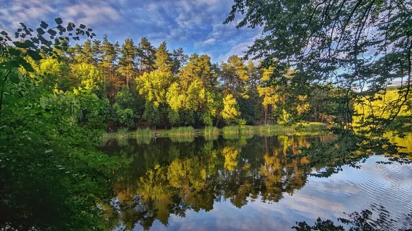 Sommarlandskap Solig Dag — Stockfoto