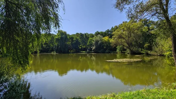 Summer Landscapes Sunny Day — Stock Photo, Image