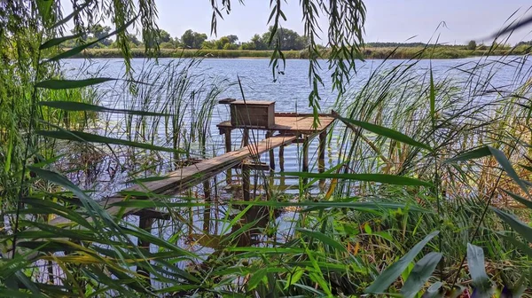 Countryside Summer Sunny Day — Stock Photo, Image