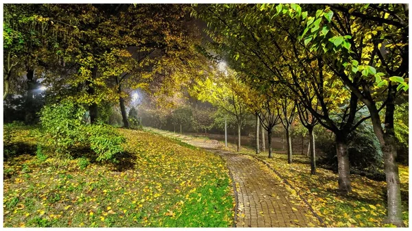 Fenerlerin ışığında sonbahar parkı