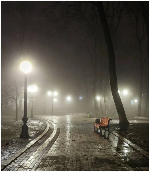 Night parks in fog