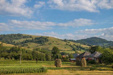 Yazın Karpatlar 'da dağ manzarası, Ukrayna