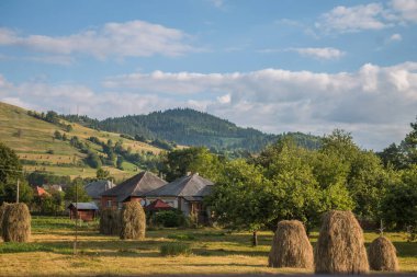 Yazın Karpatlar 'da dağ manzarası, Ukrayna