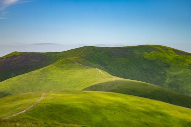 Yazın Karpatlar 'da dağ manzarası, Ukrayna