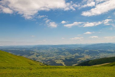 Yazın Karpatlar 'da dağ manzarası, Ukrayna