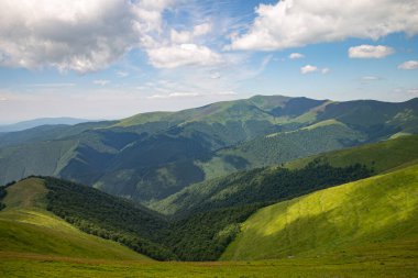 Yazın Karpatlar 'da dağ manzarası, Ukrayna