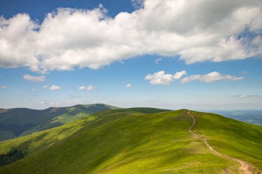 Yazın Karpatlar 'da dağ manzarası, Ukrayna