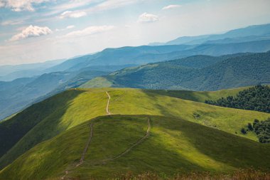 Yazın Karpatlar 'da dağ manzarası, Ukrayna