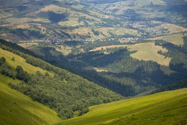 Yazın Karpatlar 'da dağ manzarası, Ukrayna