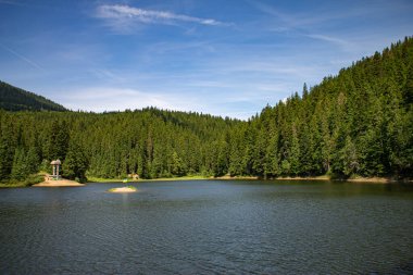 Yazın Karpatlar 'da dağ manzarası, Ukrayna