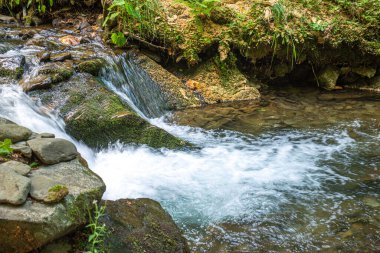 Yazın Karpatlar 'da dağ manzarası, Ukrayna