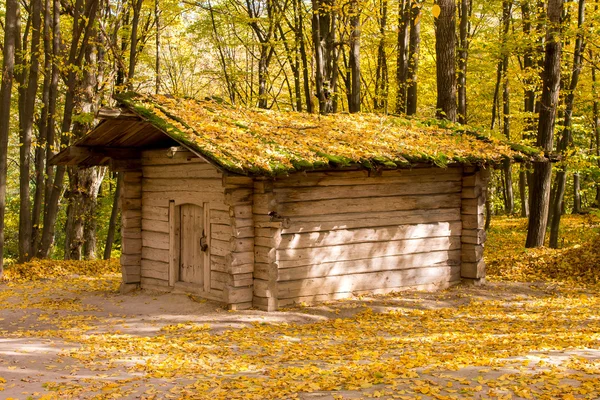 Abandoned barn — Stock Photo, Image