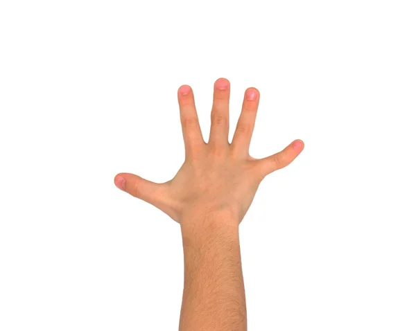 Hand — Stock Photo, Image