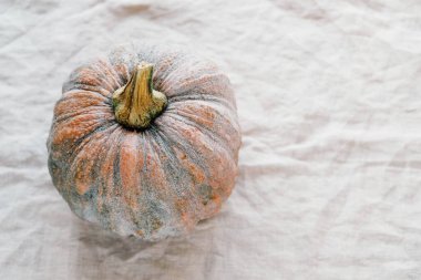 Beyaz masa örtüsünde güzel bir balkabağı. Kopyala. Sonbahar hasadı, organik sebzeler.