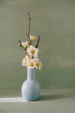 Yeşil arka planda vazoda açan taze bahar çiçekleri. Boşluğu kopyala.