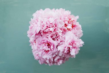 Nane yeşili arka planda çiçek açmış güzel pembe şakayık çiçekleri, yakın plan. Bir avuç çiçek açan şakayık..