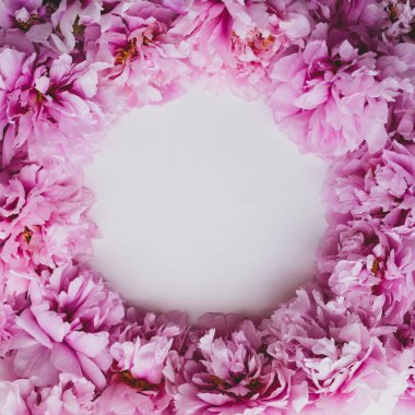 Beyaz arka planda çiçek açmış güzel pembe şakayık çiçekleri. Çiçekli, düz, manzaralı. Uzayı metin için kopyala. Anneler günü mü sevgililer günü kartı mı?.