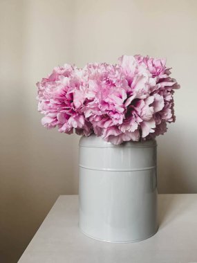 Beyaz duvar zeminine karşı vazoda çiçek açmış güzel pembe şakayık çiçekleri. Uzayı kopyala Yaz çiçekleriyle dolu sakin bir hayat.