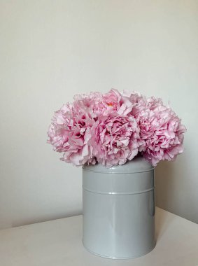 Beyaz duvar zeminine karşı vazoda çiçek açmış güzel pembe şakayık çiçekleri. Uzayı kopyala Yaz çiçekleriyle dolu sakin bir hayat.