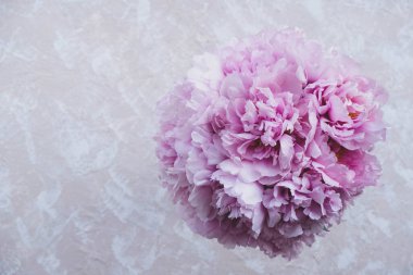 Bir yığın güzel pembe çiçek açan, kabarık yapraklı şakayıklar..