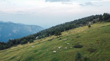 Yeşil tarlaların, ormanın ve dağ tepelerinin havadan görünüşü.