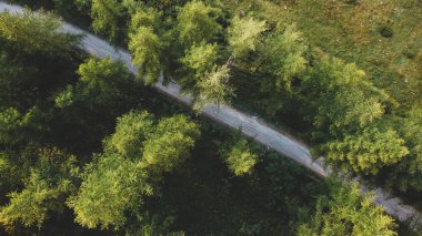 Yeşil tarlaların ve kozalaklı ormanların havadan görünüşü.