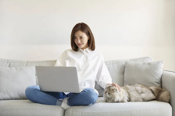 ペット猫の世話をしながらノートパソコンを使って自宅で働く若いアジア系ビジネス女性 — ストック写真