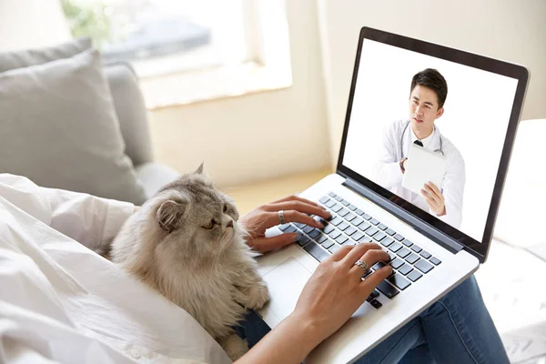 Mladá Asijská Žena Pobyt Doma Pet Cat Poradenství Lékař Přes — Stock fotografie