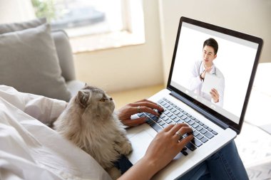 Genç Asyalı bir kadın aile doktoruna görüntülü sohbet yoluyla danışmanlık yapıyor. Yanında kedisi olan bir dizüstü bilgisayar kullanıyor.