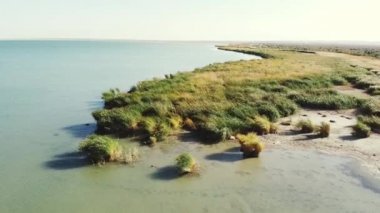 Çin, Qinghai 'deki bir gölün kıyısındaki sazlık bataklığının üzerinde uçan insansız hava aracı.
