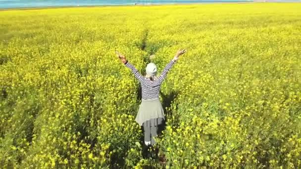 Πίσω Όψη Της Ασιατικής Γυναίκας Στέκεται Ένα Πεδίο Από Λουλούδια — Αρχείο Βίντεο