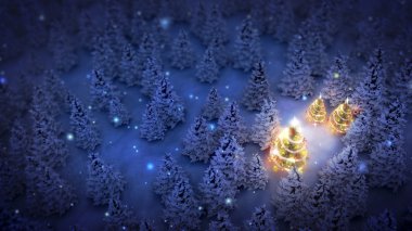 çam ormanlarının içinde hafifleyen Noel ağaçları