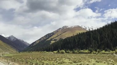 Orman ve ağaç çizgileri olan dağ, xinjiang, Çin