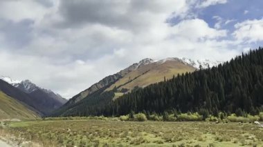 Bulutlu gökyüzü, xinjiang, china altında kar dağı ve orman manzarası